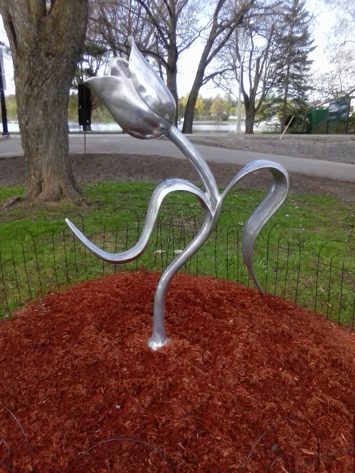Ottawa Daily Photo The Man With Two Hats