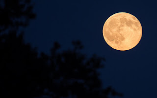  Blue moon over Arlington, VA. Photo Credit: (NASA/Joel Kowsky) (Public Domain Image)