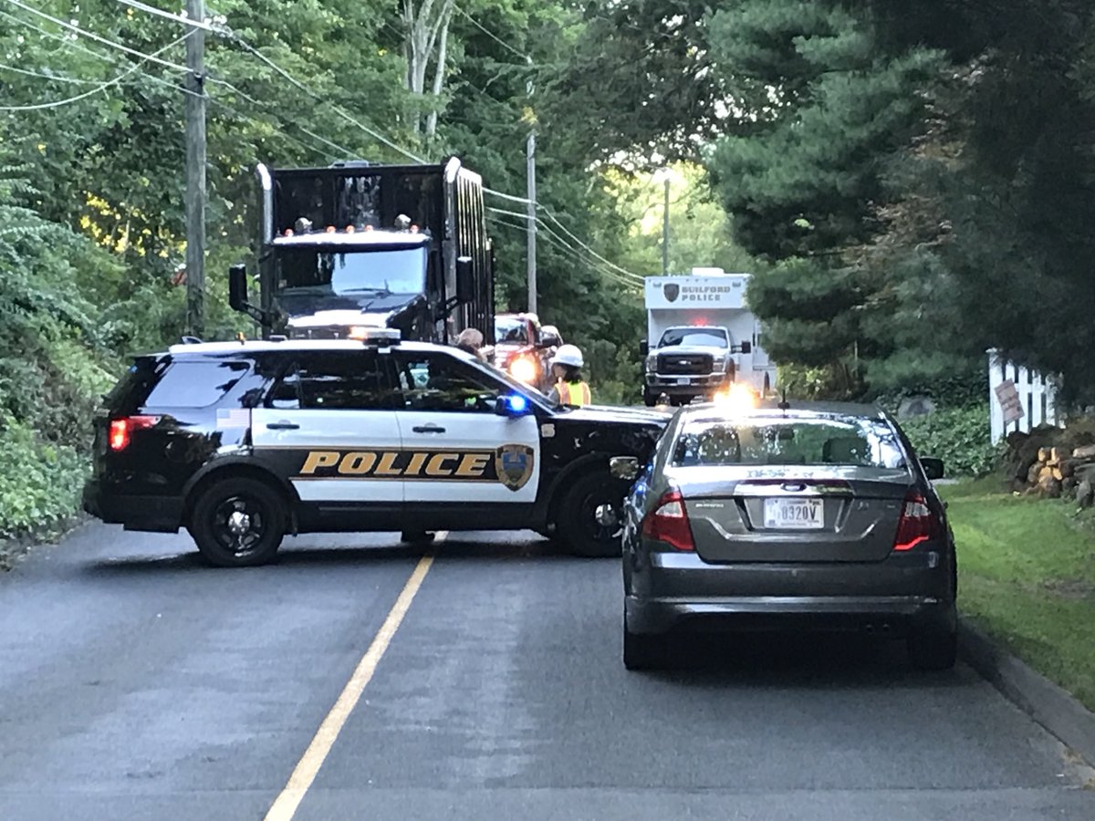 MEC&F Expert Engineers A tree service worker with Stanley Tree