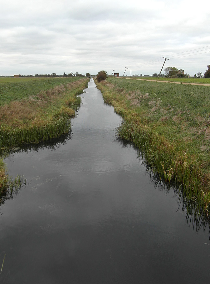 SILVERTREEDAZE MORE CAKES AND ALE PLEASE, SIR TOBY!