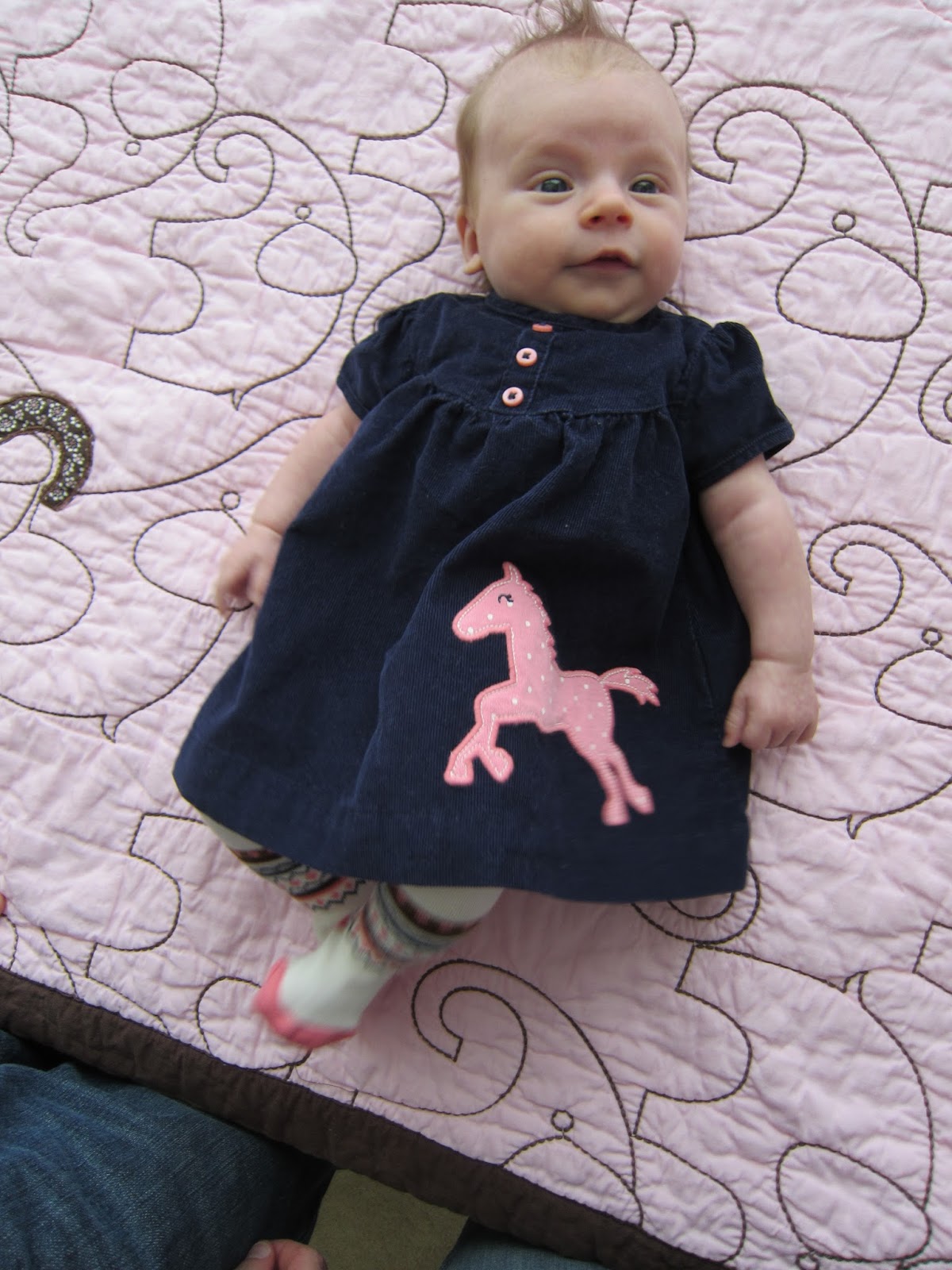 Memoirs of a Horse Girl Horsey Baby Clothes = Irresistible