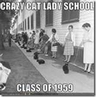 crazy cat ladies