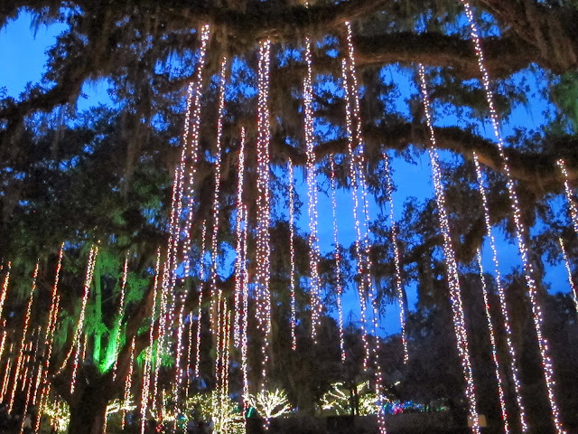 Sparkling Lights at Brookgreen Gardens