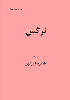  نرگس دختر کار (رمان) - غلامرضا پرتوی