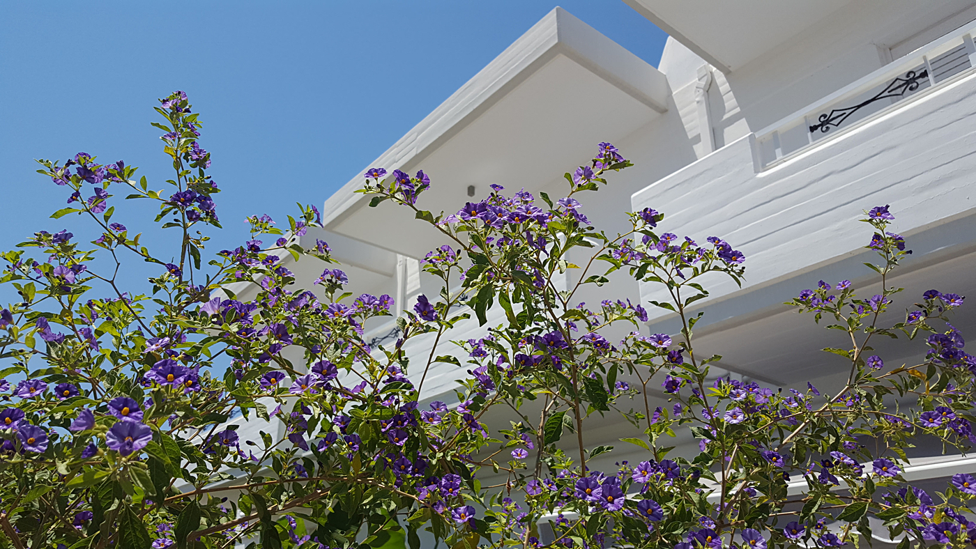 Streetart Murals Aus Griechenland 15 Bilder Atomlabor Blog