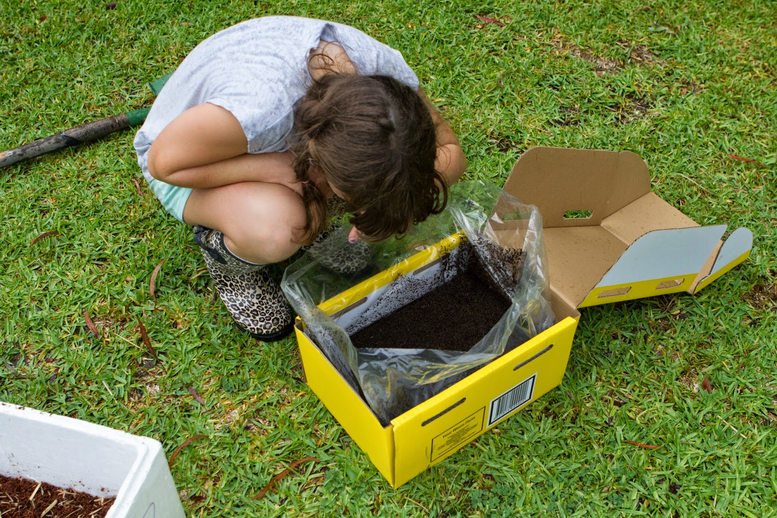 Our Simple and Meaningful Life Worm Farm