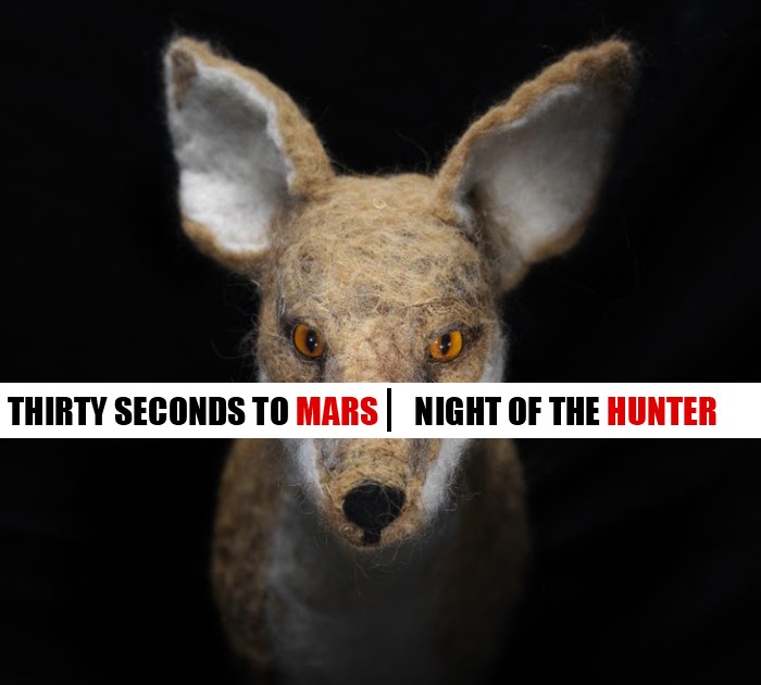30 Seconds To Mars Night Of The Hunter Lyrics Lyrics Like