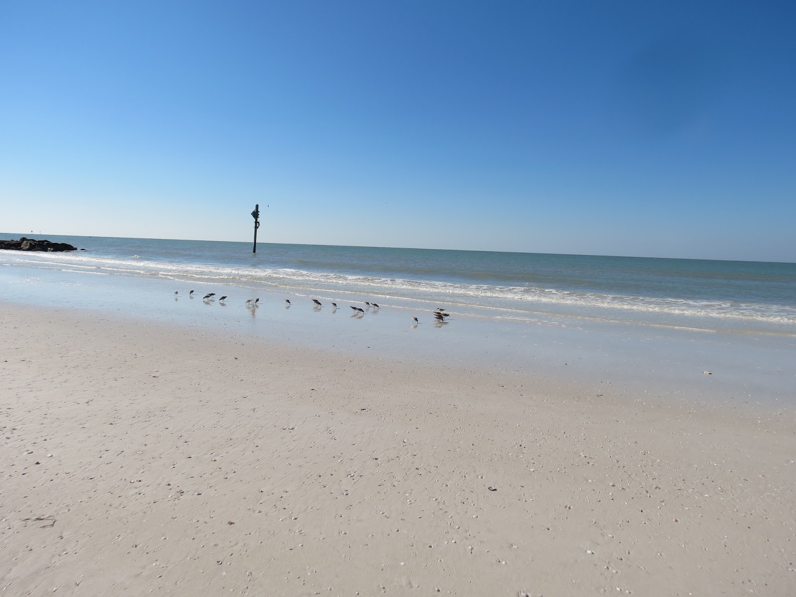 Viewing nature with Eileen Honeymoon Island Beach State Park