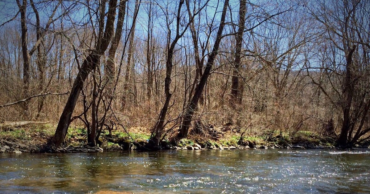 musconetcong river trout fishing