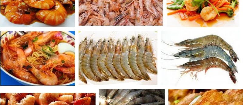 Aneka Manfaat Udang untuk Kesehatan Secara Umum
