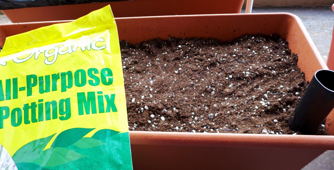 Planter Box Blog How to Prepare and Fill Soil in Vegetable Garden Pots