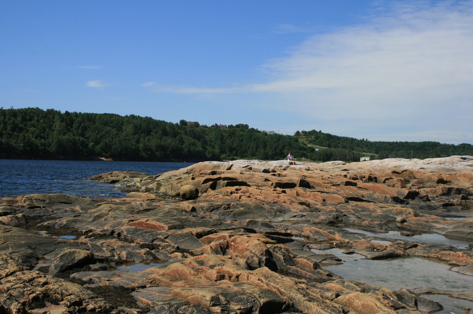 Dan Jo et Maximo Petites et Grandes Bergeronnes