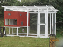 coop chicken building designs plans own build diy chickens backyard coops easy medium houses backyardchickens yard crouches triple truths runs