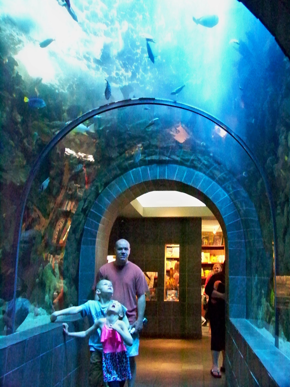 Madden Family Saturday= Dallas World Aquarium