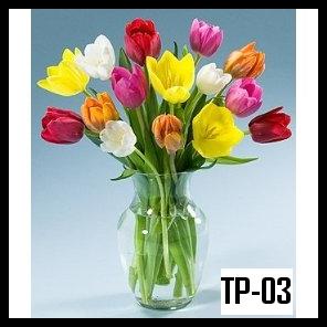 Terbaru 10+ Gambar Bunga Tulip Dalam Pot - Gambar Bunga Indah