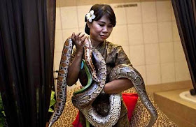 شاهدوا بالصور اغرب أنواع المساج والتدليك في العالم