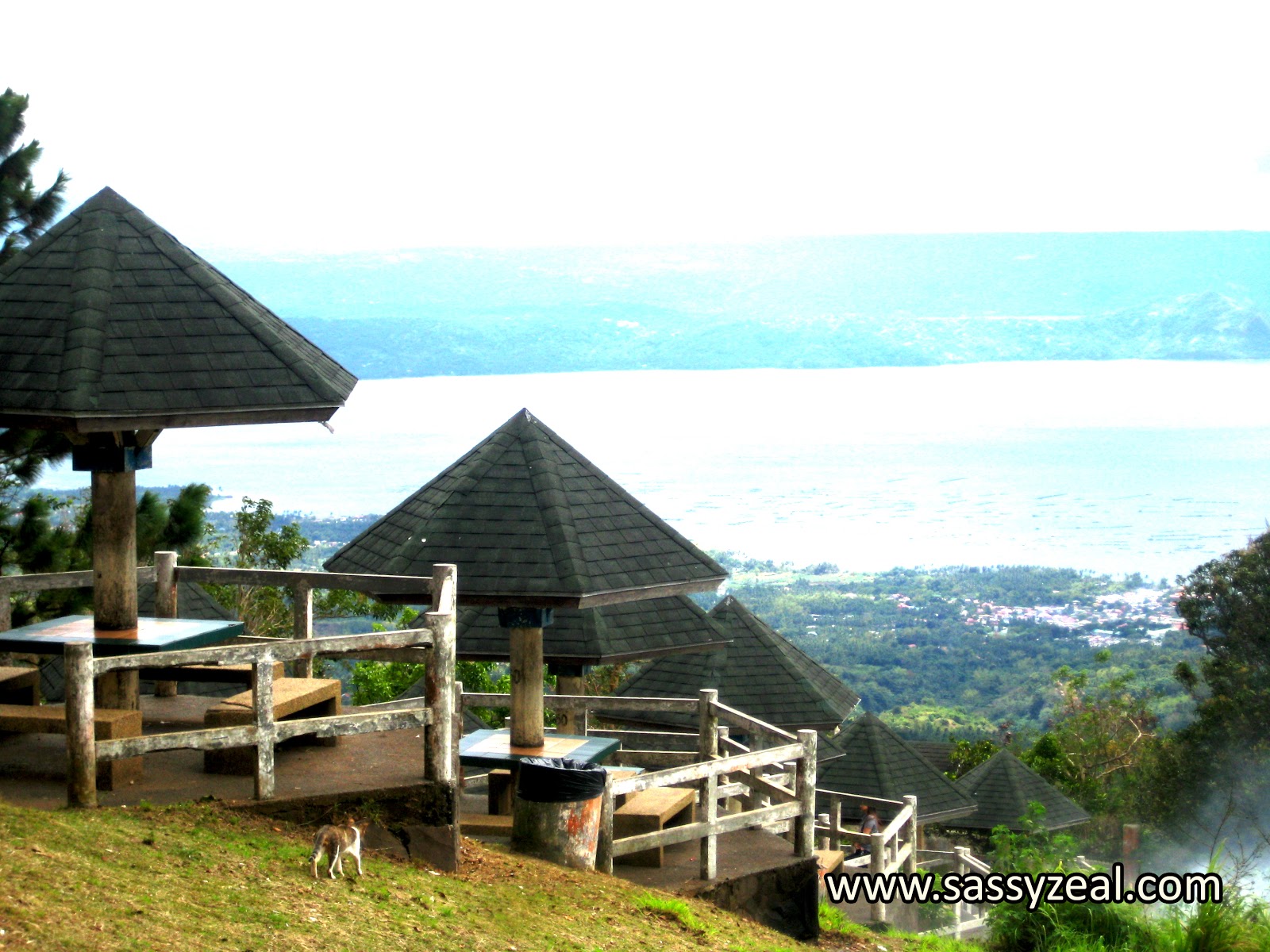 Sassyzeal Capture the moment Hanging Bridge Picnic Grove Tagaytay