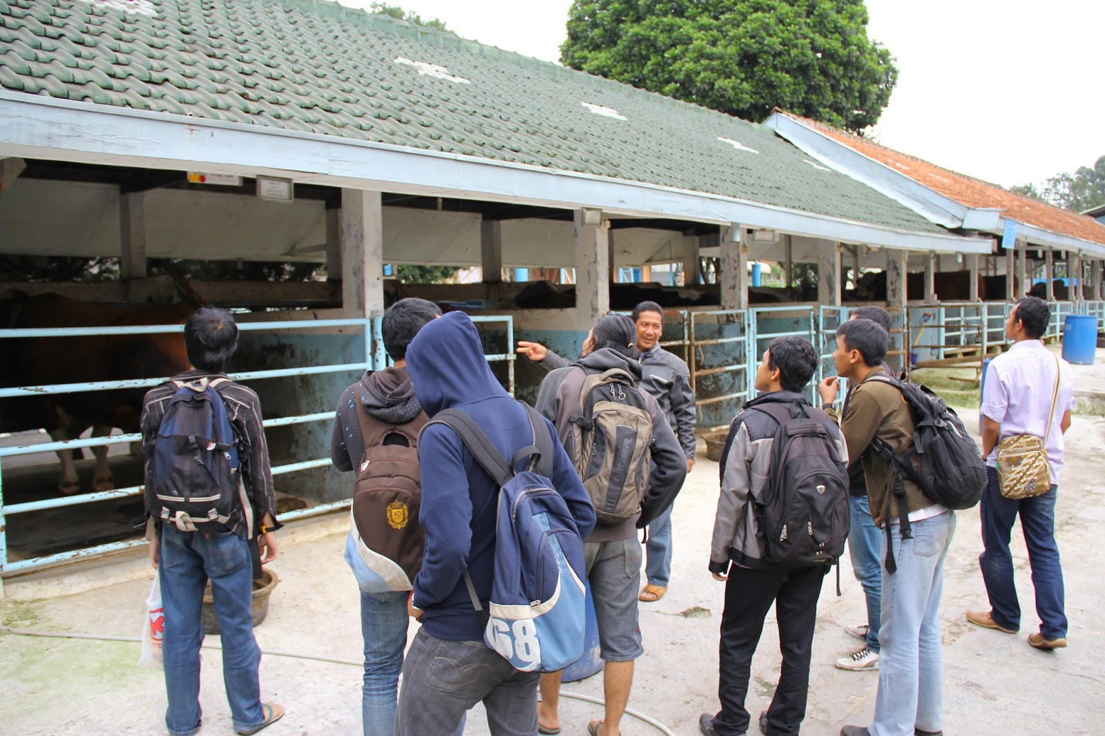 Balai Inseminasi  buatan  Lembang Kota Bandung Direktori 
