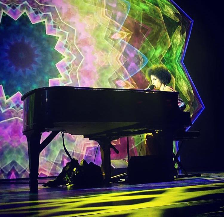 Image result for prince on tour 2011