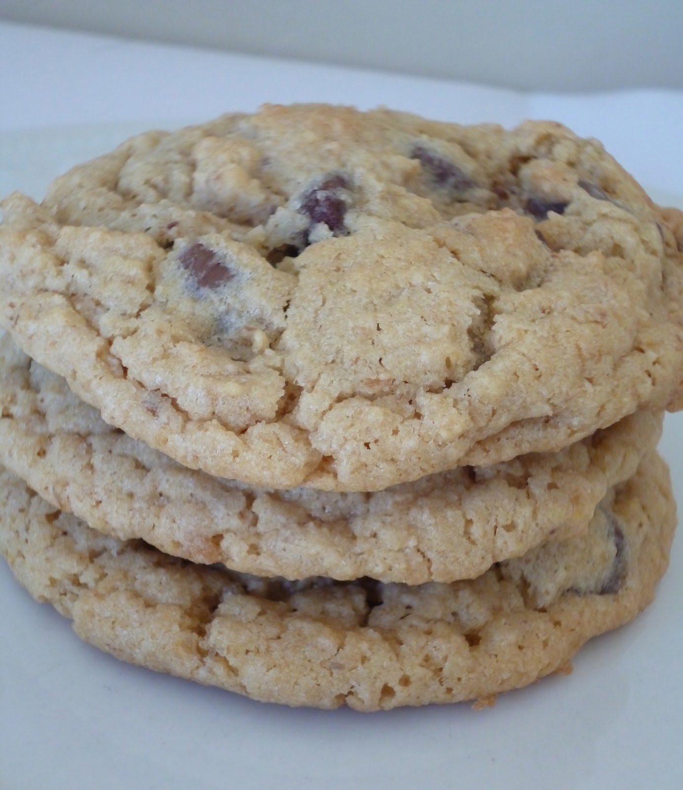 RECIPES FOR A PICKY EATER Neiman Marcus Cookies recipes-for-a-picky-eater-neiman-marcus-cookies