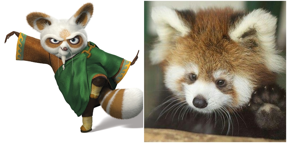 Aneh Tapi Nyata Tokoh Kartun Ini Ternyata Ada Di Dunia Nyata