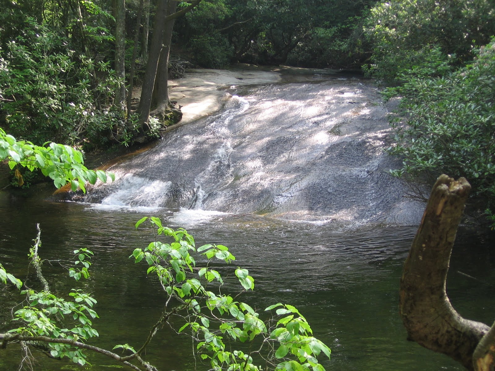 Relaxed Hiking NC Cove Creek and Caney Bottom Loop Hike 5/21/2011