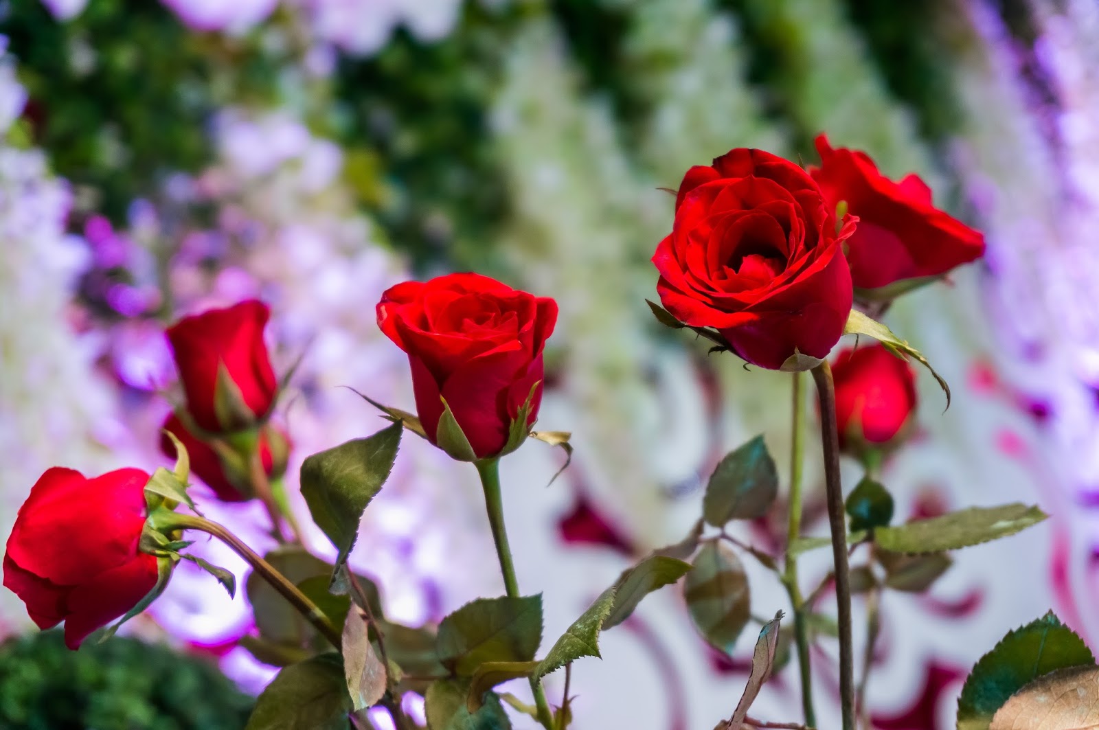 How to Plan Your 18th Birthday (Debut) Diane Loresca Travels. Shops