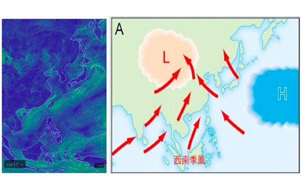 天津爆炸毒物飄台灣？專家籲別亂傳 不要自己嚇自己