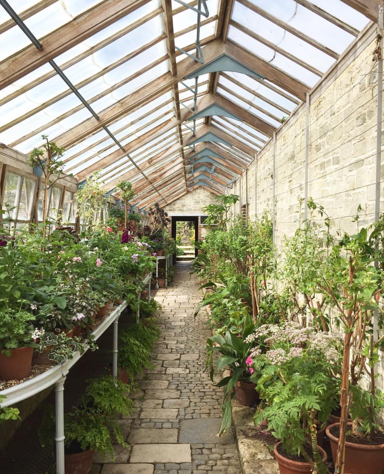 Wonderful Paris Greenhouse Content in a Cottage