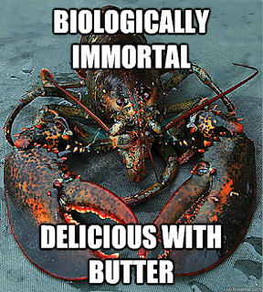 immortal_with_butter.png