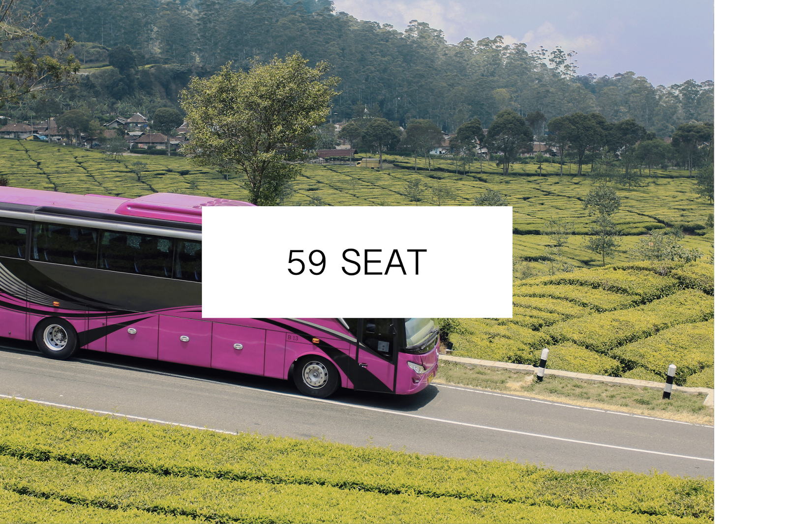 107+ Gambar Denah Kursi Bus Seat 59 Gratis Terbaru