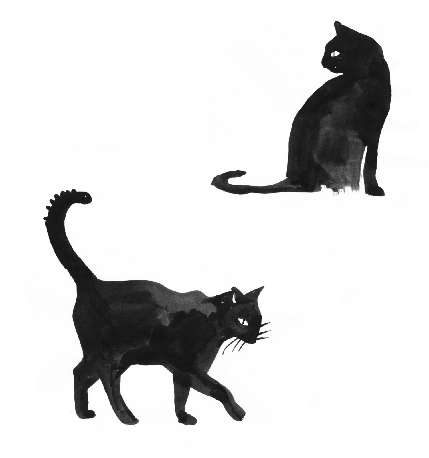 Black Cat Drawings - Male Models Picture
