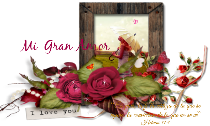 ✿ Mi Gran Amor ✿