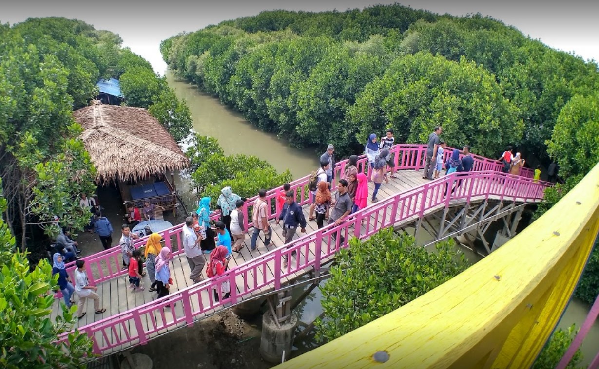 Taman Wisata Mangrove Brebes