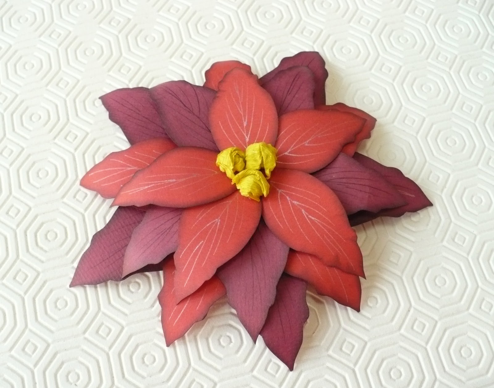 Stella Di Natale Carta.Stella Di Natale Di Carta Christmas Paper Flower Sweetbiodesign Sweetbiodesign