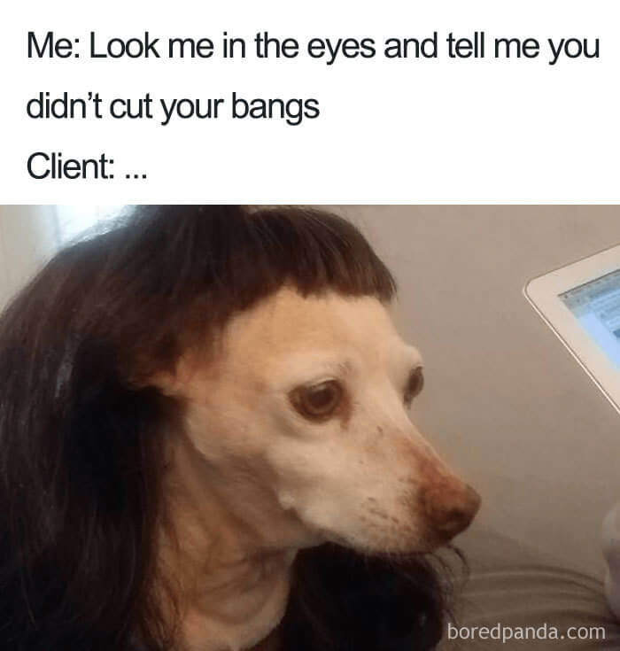 Hilarious Hairstylers' Memes To Make Clients Feel A Bit Embarrassed