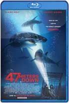 Terror a 47 Metros (2017) HD 720p Latino