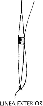 Adictos a pescar - Todo sobre la pesca