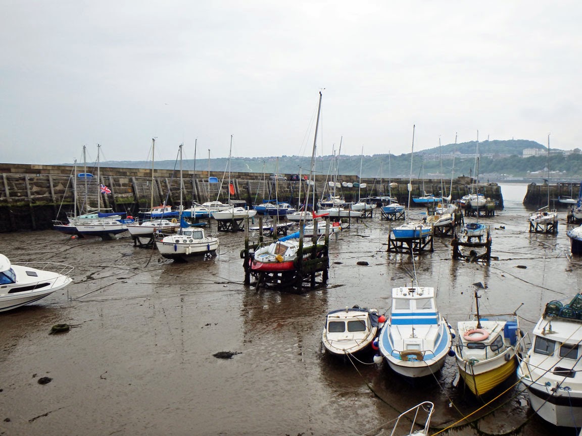 Solid Craft Pontoon Boats For Sale Solid Craft Pontoon Boats For Sale