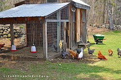 NEW HOW TO BUILD A CHICKEN COOP IN AN EXISTING BARN Built
