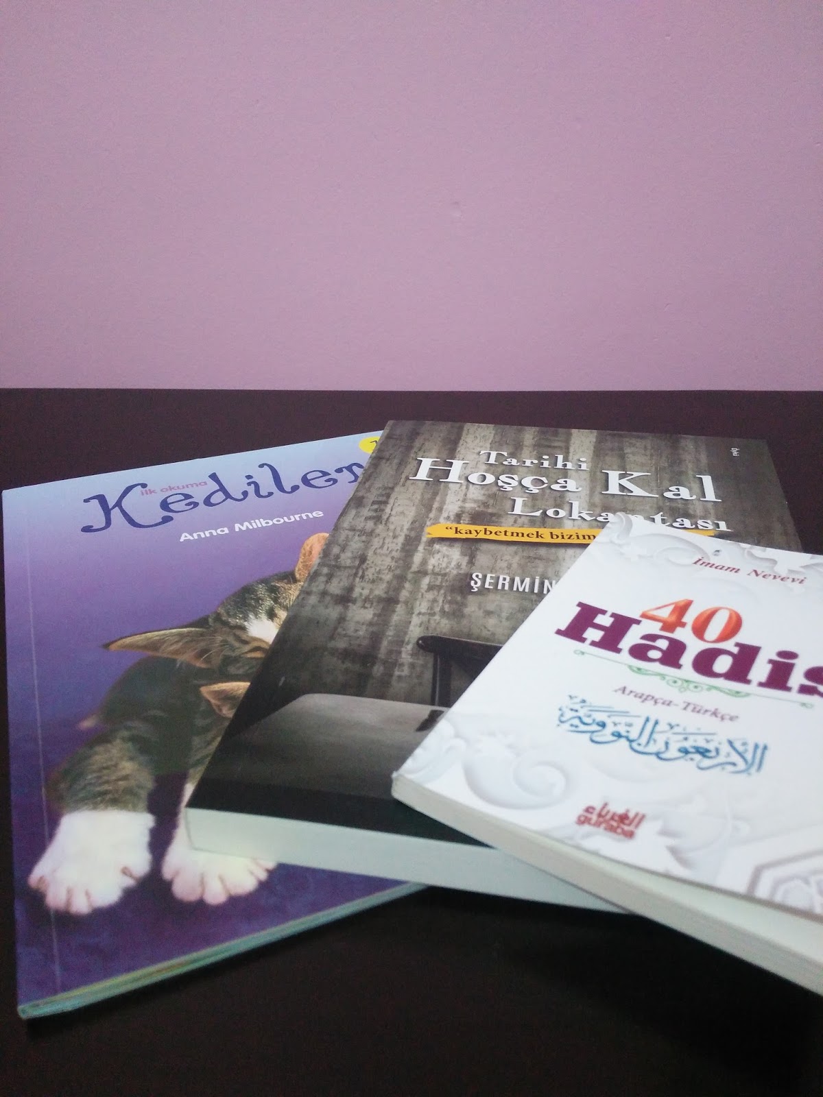 2019 Yazında Okunacak Kitap İsimleri 2019 Yazında Okunacak Kitap İsimleri
