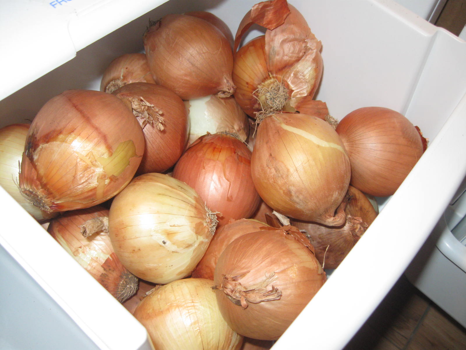 Preparation and survival Canning onions