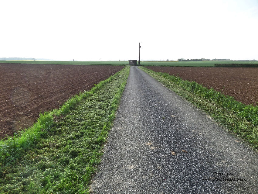 French wildlife and beekeeping Soya bean cultivation in France