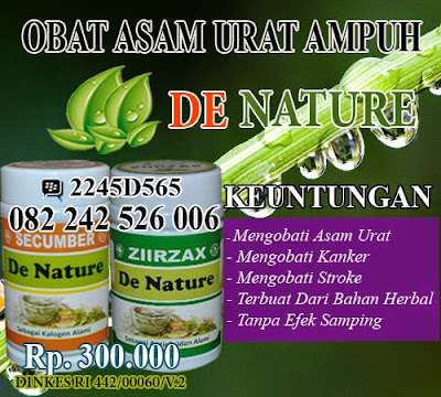 obat asam urat dan kolesterol alami ampuh