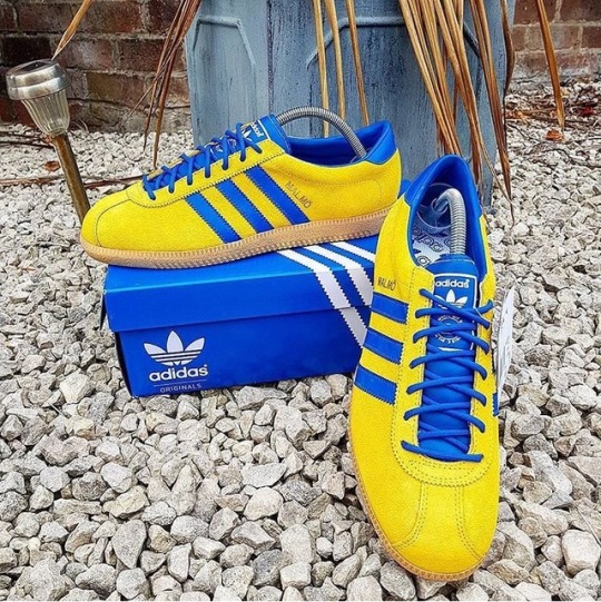 Sneakers Adidas Malmo giallo-blu - MODERNAUT