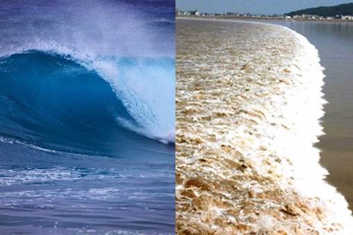 ALERTAS: El Sistema De Boyas De Detectar Tsunamis No Funciona En Indonesia. ALERTAS: El Sistema De Boyas De Detectar Tsunamis No Funciona En Indonesia.