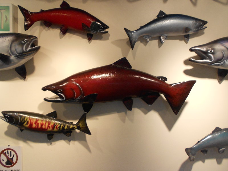 From Kansas to Kodiak... Marine Research Center Touch Tank