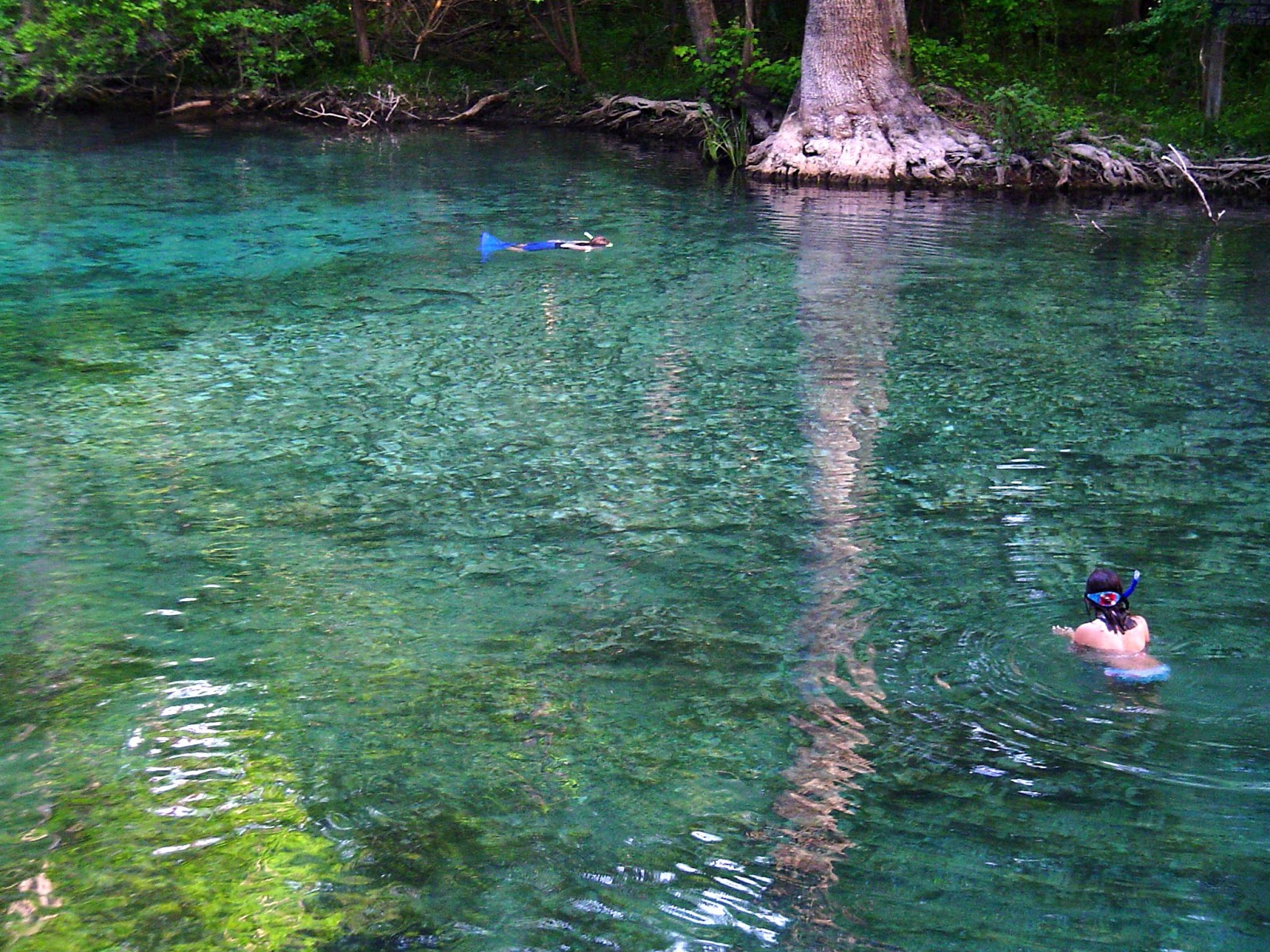 Seashore Wandering Camping Adventures Ginnie Springs Campground