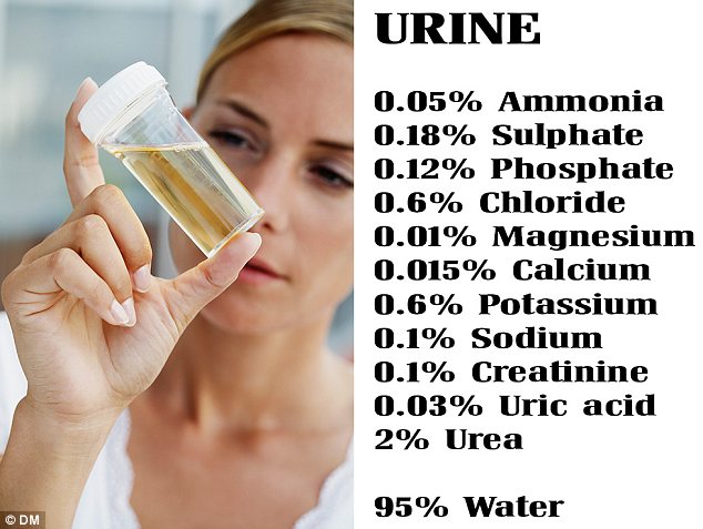 Why our urine is yellow?