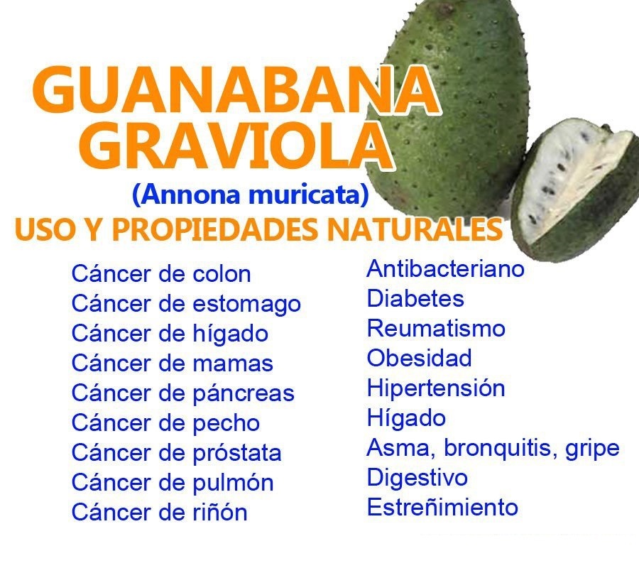 La Guanabana y sus propiedades anticancerigenas, 100 veces mas potente